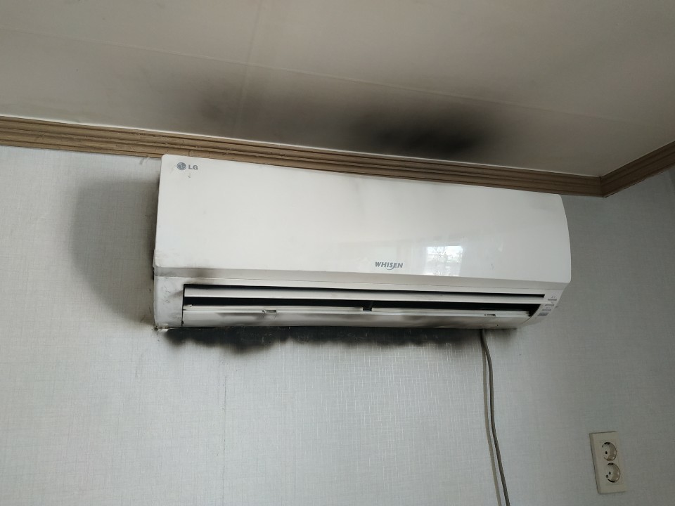 3034632970_euPxCTAz_eb98fb76f8a9192f659f13b18e771faeaa8b0f65.jpg 이미지크게보기